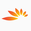 Mashreq Securities
